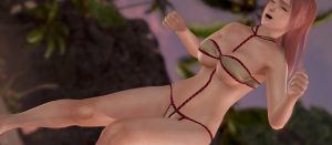 DEAD OR ALIVE Xtreme 3 Fortune